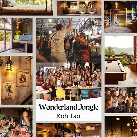Wonderland Jungle Hostel
